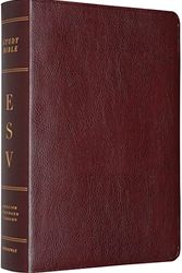 Cover Art for 9781433502385, ESV Study Bible by Crossway Bibles, Crossway Books