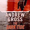 Cover Art for 9780061630194, The Dark Tide by Andrew Gross