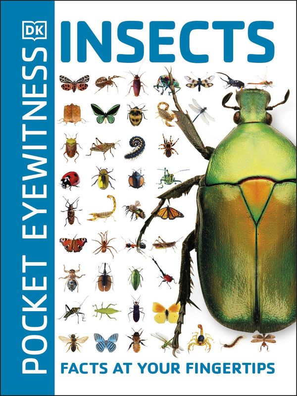 Cover Art for 9780241343685, Pocket Eyewitness Insects: Facts at Your Fingertips by DK