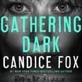 Cover Art for 9781250317636, Gathering Dark (Crimson Lake, 4) by Candice Fox