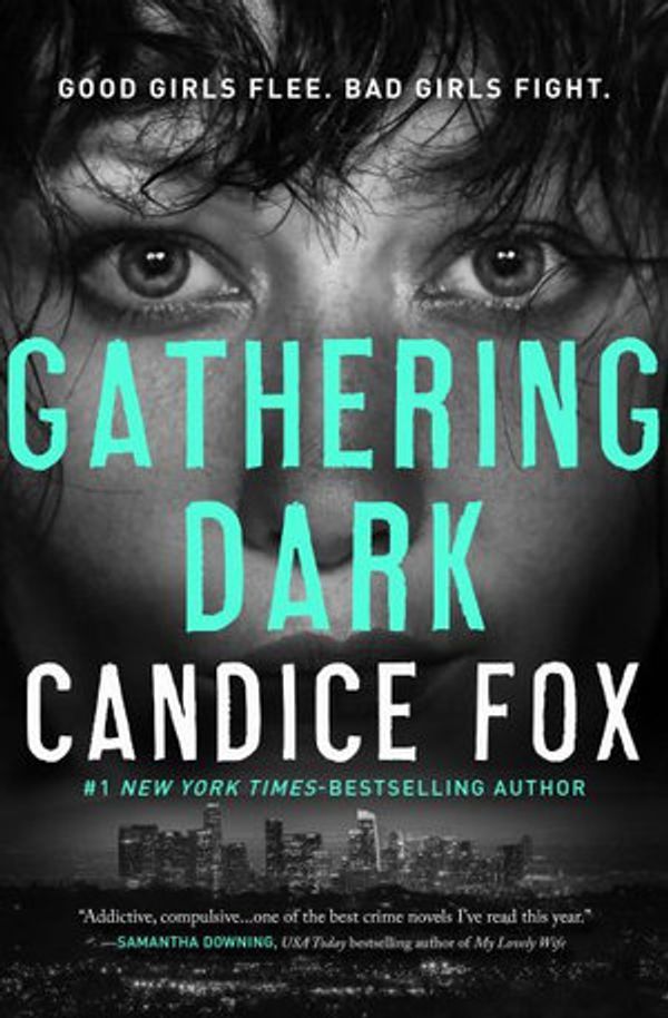 Cover Art for 9781250317636, Gathering Dark (Crimson Lake, 4) by Candice Fox