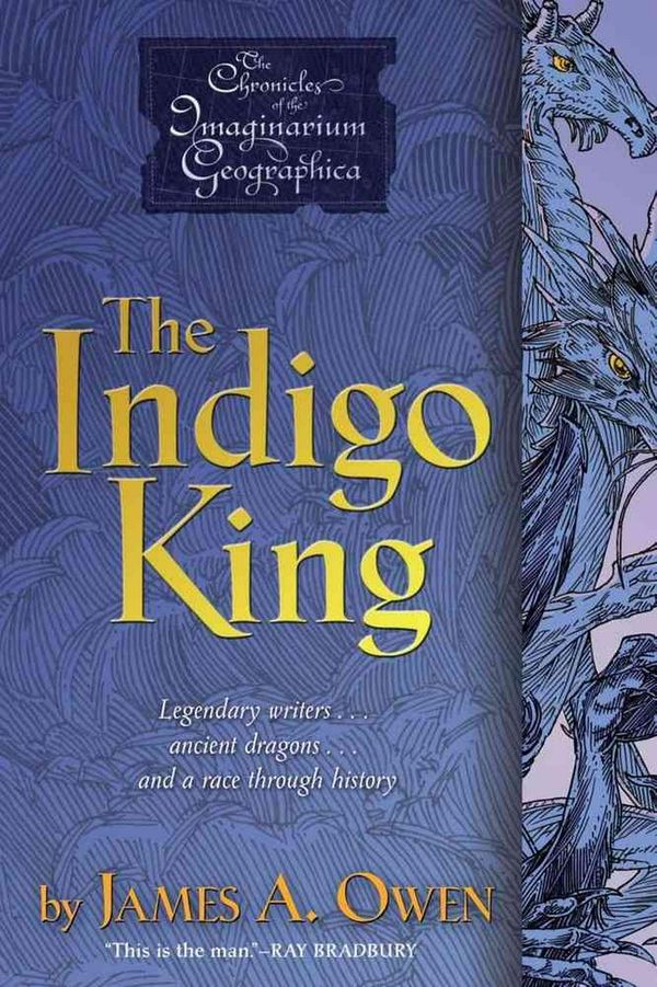 Cover Art for 9781416951087, The Indigo King by James A. Owen