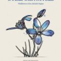 Cover Art for 9780646592985, It's Blue with Five Petals: Wildflowers of the Adelaide Region by Ann Prescott