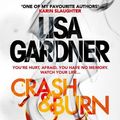 Cover Art for 9781472220257, Crash & Burn by Lisa Gardner