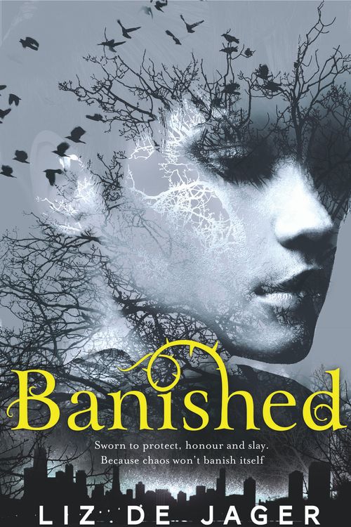 Cover Art for 9781447247654, Banished by Liz de Jager