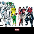 Cover Art for B0B6Q29GZD, Official Handbook Of The Marvel Universe: Update '89 Omnibus by Sanderson, Peter