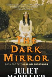 Cover Art for 9780765348753, The Dark Mirror by Juliet Marillier