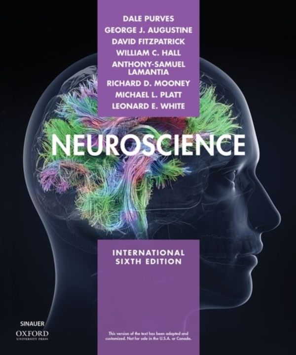 Cover Art for 9781605358413, Neuroscience by Purves