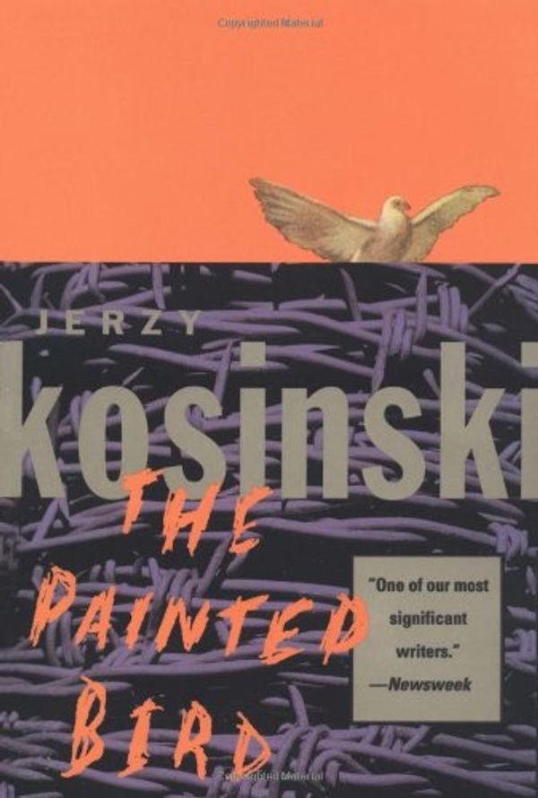 Cover Art for 9780553265200, The Painted Bird by Jerzy Kosinski