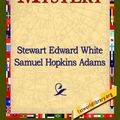 Cover Art for 9781421818108, The Mystery by Stewart Edward White