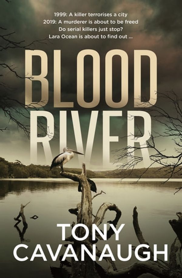 Cover Art for 9780733640759, Blood River by Tony Cavanaugh