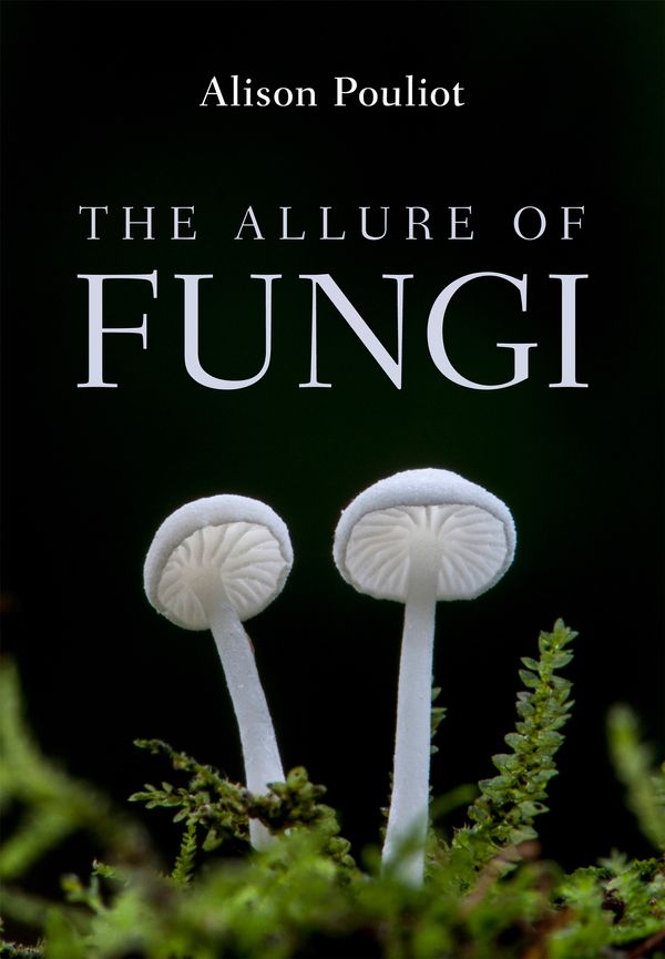 Cover Art for 9781486308576, The Allure of Fungi by Alison Pouliot