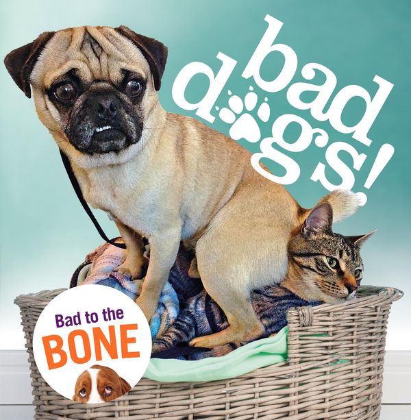 Cover Art for 9780753557068, Bad Dogs by Virgin Books