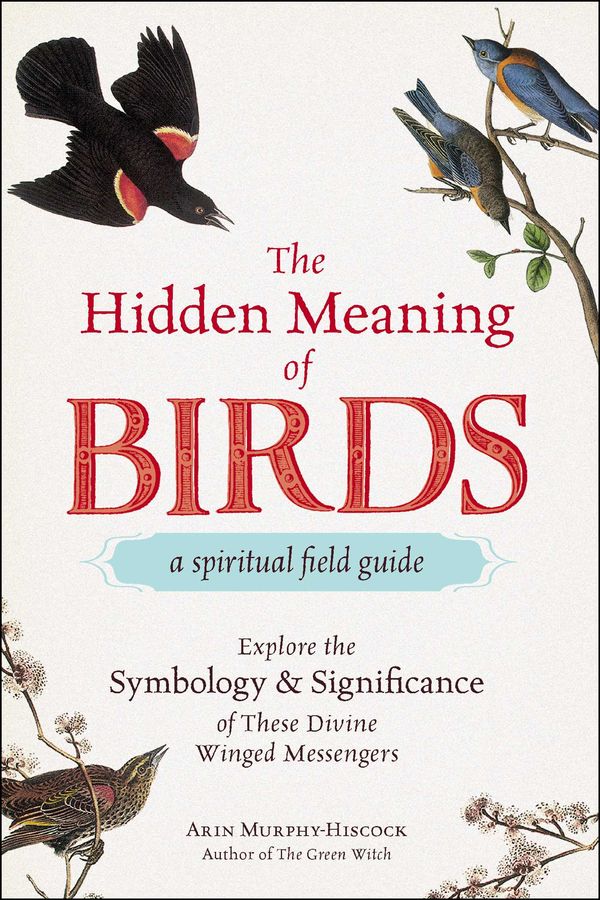 Cover Art for 9781507210277, The Hidden Meaning of Birds--A Spiritual Field Guide by Arin Murphy-Hiscock
