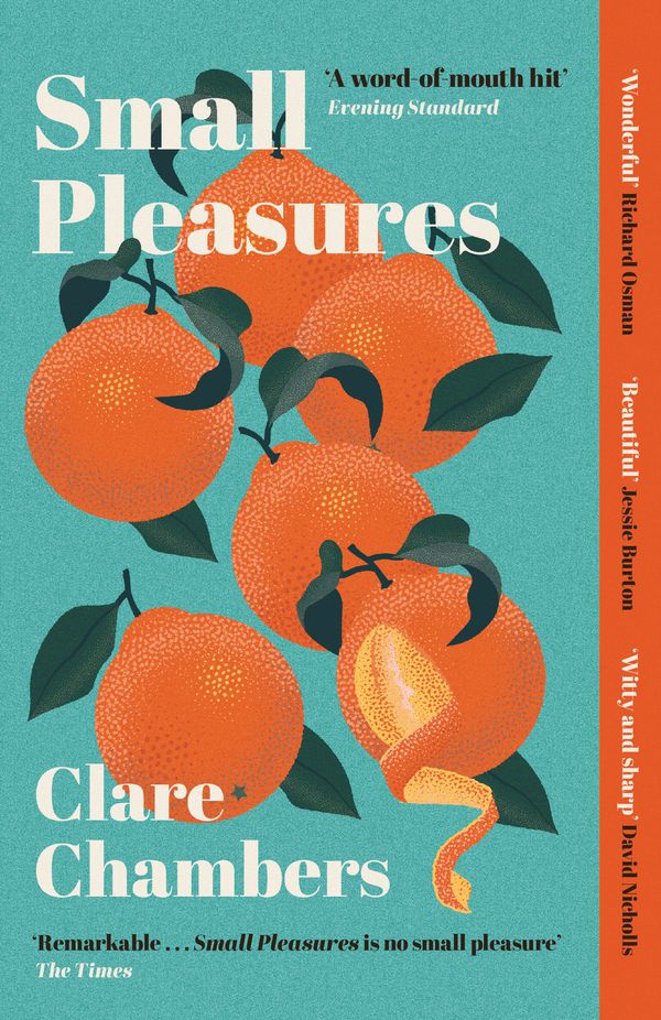 Cover Art for 9781474613903, Small Pleasures by Clare Chambers