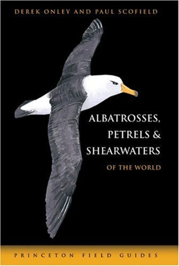 Cover Art for 9780691131320, Albatrosses, Petrels and Shearwaters of the World by Derek Onley, Paul Scofield