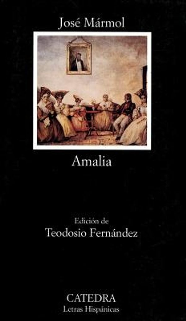 Cover Art for 9788437618135, Amalia by Mármol, José