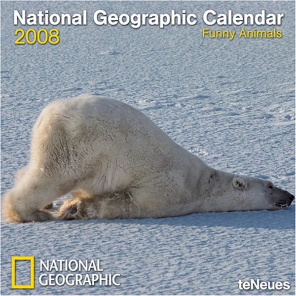 Cover Art for 9783832722814, 2008 National Geographic Funny Animals Grid Calendar by teNeues Publishing