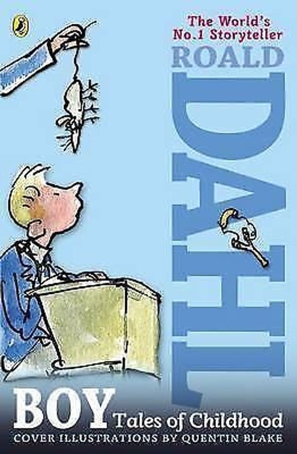 Cover Art for 9780141349862, Roald Dahl Boy Tales Of Childhood by Roald Dahl