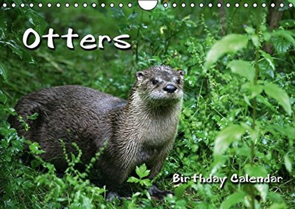 Cover Art for 9783660410624, Otters / UK-Version / Birthday Calendar (Wall Calendar perpetual DIN A4 Landscape): Skillful fish hunters (Month Calendar, 14 pages) by Martina Berg
