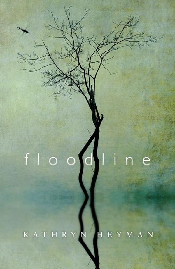 Cover Art for 9781743431146, Floodline by Kathryn Heyman