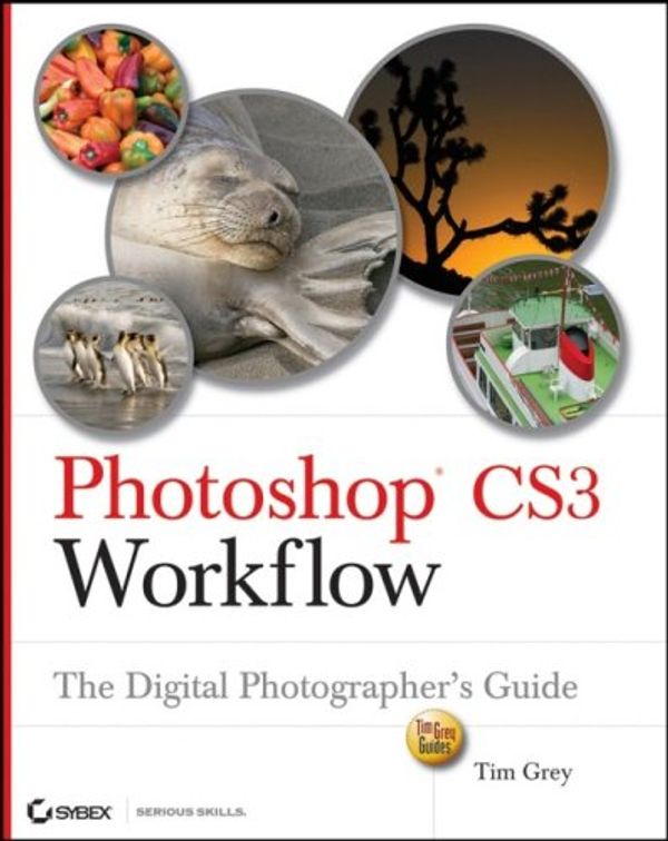 Cover Art for 9780470119419, Photoshop Workflow: The Digital Photographer's Guide by Tim Grey
