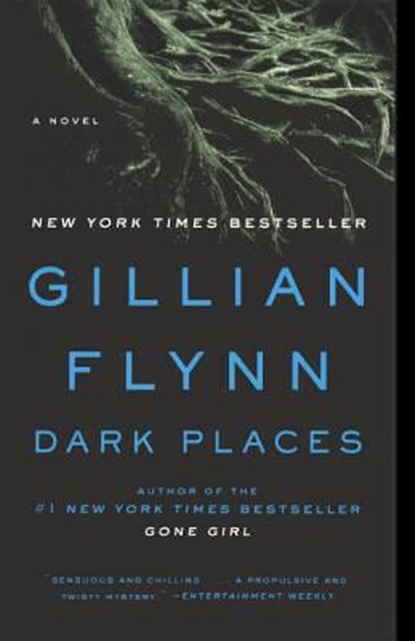 Cover Art for 9780606359733, Dark Places by Gillian Flynn