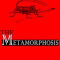 Cover Art for 1230000022924, Metamorphosis by Franz Kafka