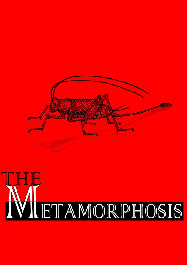 Cover Art for 1230000022924, Metamorphosis by Franz Kafka