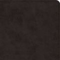 Cover Art for 9781433548321, ESV UltraThin Bible (TruTone, Black) by Crossway Bibles