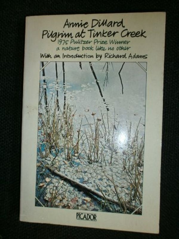 Cover Art for 9780330247153, Pilgrim at Tinker Creek by Annie Dillard