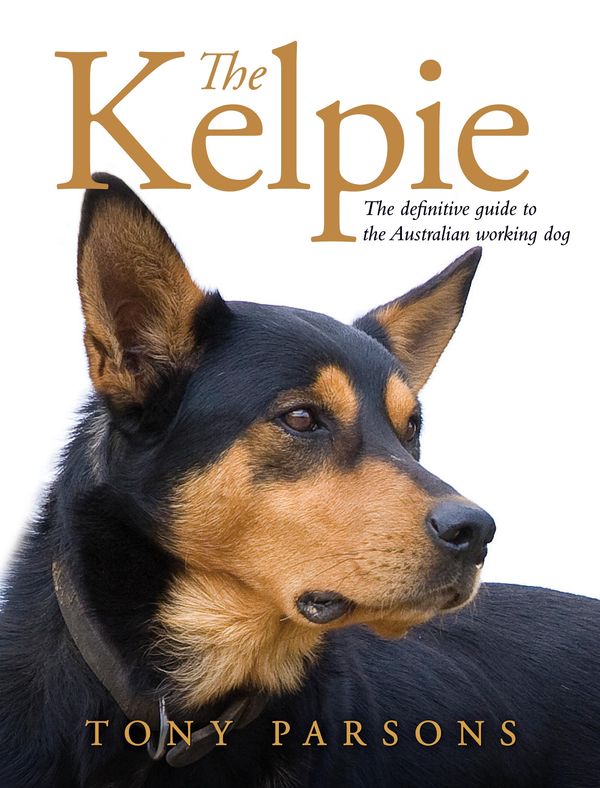 Cover Art for 9780670073597, The Kelpie by Tony Parsons