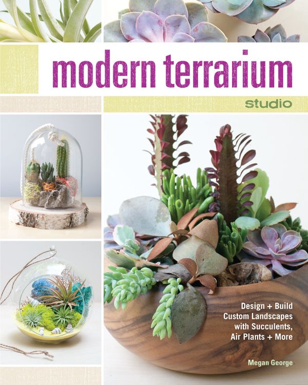 Cover Art for 9781440242991, Modern Terrarium Studio: Design and Build Custom Succulent and Air Plant Landscapes by Megan George