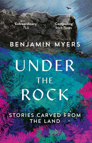 Cover Art for 9781783964369, Under the Rock by Benjamin Myers