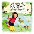 Cover Art for 9781841015019, Where Do Babies Come From? by Sally Ann Wright