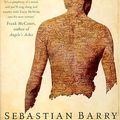 Cover Art for 9780330351966, The Whereabouts of Eneas McNulty by Sebastian Barry