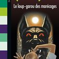 Cover Art for 9782747046909, Le Loup Garou Des Marecages by R. L. Stine