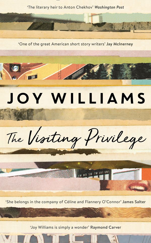 Cover Art for 9781781257463, The Visiting Privilege by Joy Williams