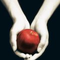 Cover Art for 9789047510055, Twilight: een levensgevaarlijke liefde (Twilight reeks) by Stephenie Meyer