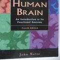 Cover Art for 9780815189114, The Human Brain by John Nolte