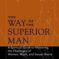 Cover Art for 9781591792574, Way of the Superior Man by David Deida