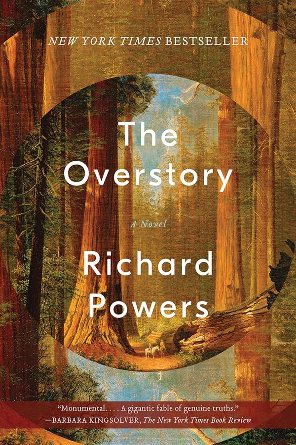 Cover Art for 9780393356687, The Overstory by Richard Powers