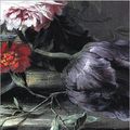 Cover Art for 9781421809038, The Black Tulip by Alexandre Dumas