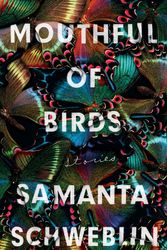 Cover Art for 9781786074560, Mouthful of Birds by Samanta Schweblin