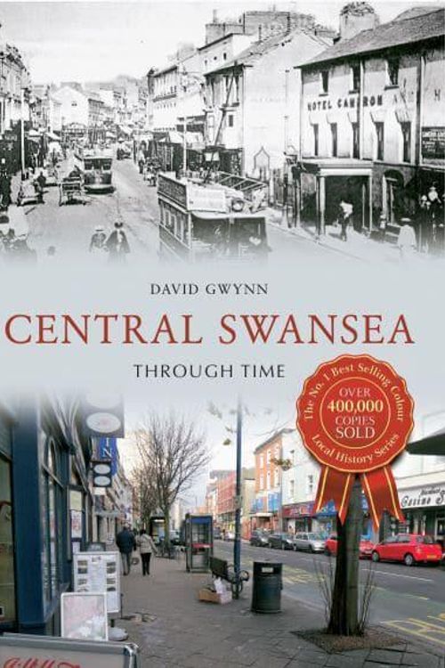 Cover Art for 9781848683020, Swansea Through Time by David Gwynn