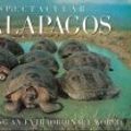 Cover Art for 9783829053556, Galapagos by Kurt Vonnegut
