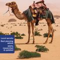 Cover Art for 9781787015883, Lonely Planet Jordan (Travel Guide) by Lonely Planet, Jenny Walker, Paul Clammer