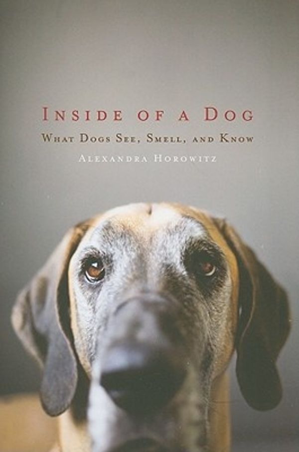 Cover Art for 9781416583400, Inside of a Dog by Alexandra Horowitz