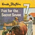 Cover Art for 9780340182413, Fun for the Secret Seven by Enid Blyton