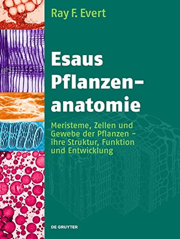 Cover Art for B015N73NF8, Esaus Pflanzenanatomie: Meristeme, Zellen und Gewebe der Pflanzen - ihre Struktur, Funktion und Entwicklung (German Edition) by Evert, Ray F.